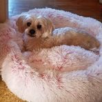 Susan Gerardi - Facebook
