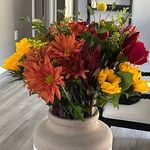 Susan Gerardi Rich - @susan11943 - Instagram