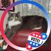 Susan Gershman - Facebook
