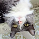Susan Gershman - @gershmansusan - Instagram