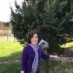 Susan W. Gershon - @susan.w.gershon - Instagram