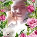 Susan Gift - Facebook