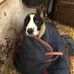 Sue Gilder - Facebook