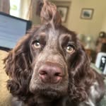 Susan Gilder - @gsgilder25 - Instagram