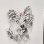 Susan Gilder - @susangilder.artist - Instagram