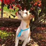 Susan Gildersleeve - @susan_e_gildersleeve - Instagram