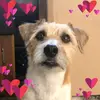 susangildersleeve - @susangildersleeve - TikTok
