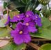 Susan Gillis - Facebook