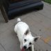 Susan Gillis - Facebook