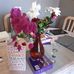Susan Gilroy - Facebook