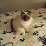 Susan E. Gingrich - @susane.gingrich - Instagram