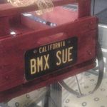 Susan Gingrich - @sue_gingrich_1 - Instagram