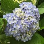 Susan Ginn - @sginn221 - Instagram
