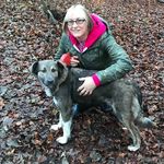 Susan Ginn - @ginn6052 - Instagram