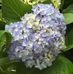 Susan Ginn - Facebook
