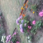 Susan Gladman - @susan.gladman.3 - Instagram