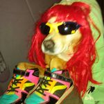 Susan Glancy - @glancy.susan - Instagram