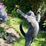 Susan Gleaton - @gleatonsusan - Instagram