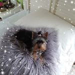 Sue Glick - @susanglick123yahoo.com8 - Instagram
