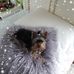 Susan Glick - Facebook