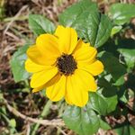 Susan Glick - @suzglick - Instagram