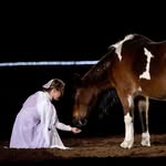 Susan Regina Glick - @heartsong.equine - Instagram