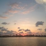 Susan Glickman - @clean.energy.girl - Instagram