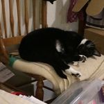 Susan Glidden - @susan_glidden - Instagram