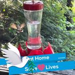 Susan Glidden Otto - @whataqt25 - Instagram
