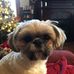 Susan Goering - Facebook
