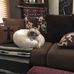 Susan Goering - Facebook