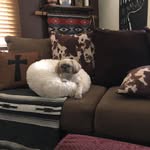 Susan Goering - @susan.goering.982 - Instagram