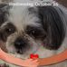 Susan Goering - Facebook