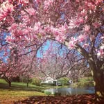 Susan Goff - @goff3215 - Instagram