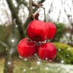 Susan Goode - @susan.goode.94 - Instagram