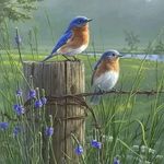 Susan Goode Chafin - @susangoodechafin - Instagram