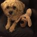 Susan Goodrum - Facebook