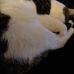Susan Goodspeed - Facebook
