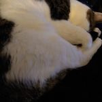 Susan Goodspeed - @goodspeed.suzi - Instagram