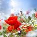 Susan Goodspeed - Facebook