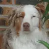 susangrabowski158 - @susangrabowski158 - TikTok