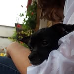Susan Gräfe - @susangraefe - Instagram
