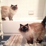 Susan Gragg - @susandgragg - Instagram