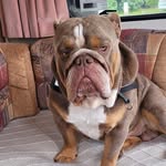 Susan Grantham - @suegrantham1960 - Instagram