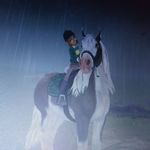 @susan_grassbell - Instagram