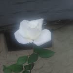 Susan Greeson - @greeson_susan - Instagram