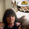 susandigregorio73 - @susandigregorio73 - TikTok