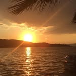 Susan Greig - @susangreig3 - Instagram