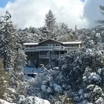 Susan Greig - @birdseyeview_yosemite - Instagram