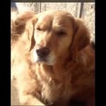 Susan Greig - @sgreig2 - Instagram